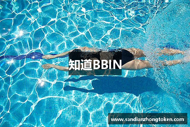 知道BBIN